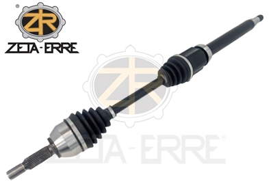 ZR12079