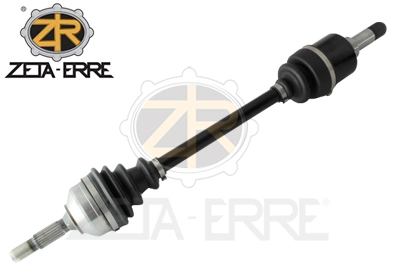 ZR11725