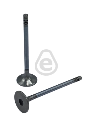 EVI4504