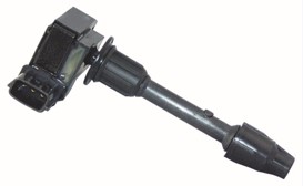 IGC0024