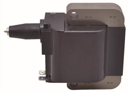 IGC0066