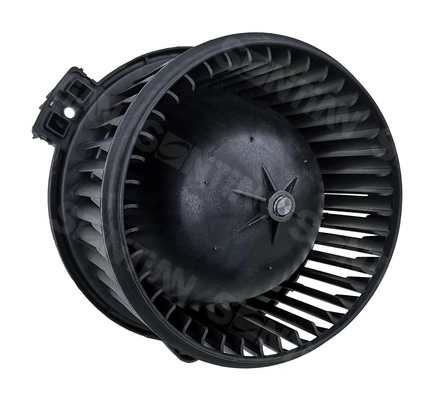 ZD172503