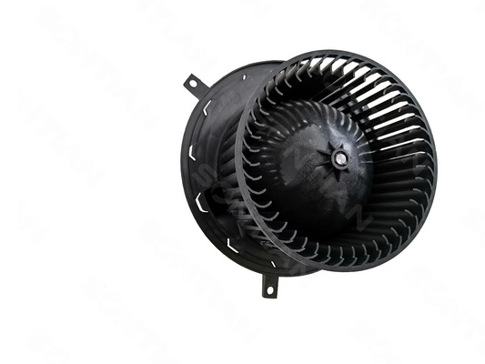 ZD172521