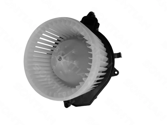 ZD172569A