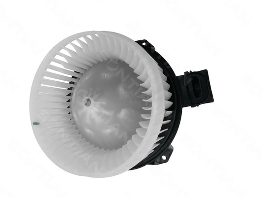 ZD172562A