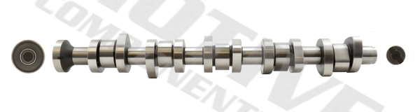 T069S