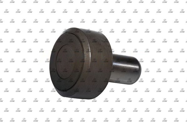 BZT17.00058