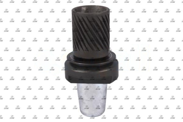 SCT17.00293