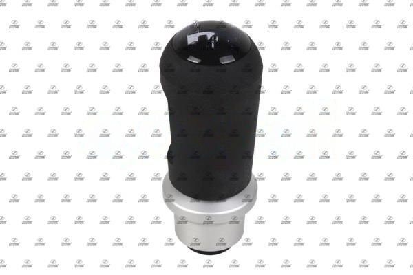 SCT19.00084