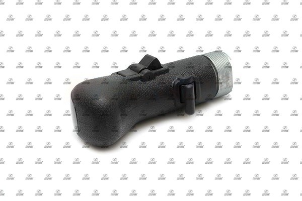 SCT19.00086