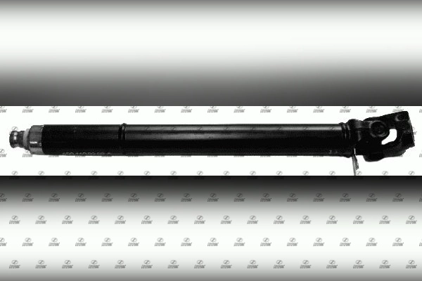 BZT17.00142
