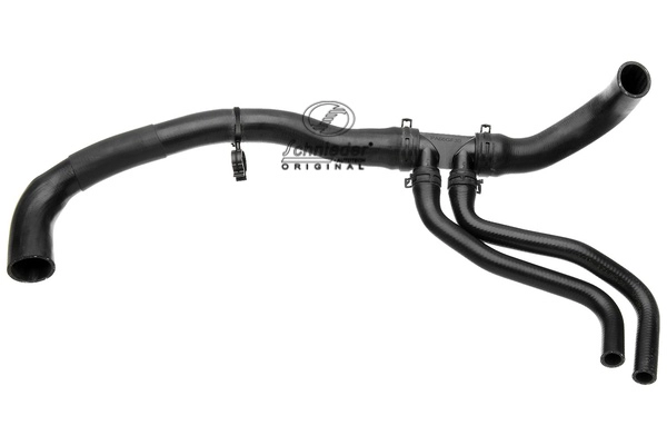 LRS19.00345