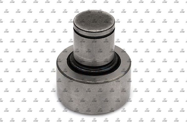 SCT17.00289