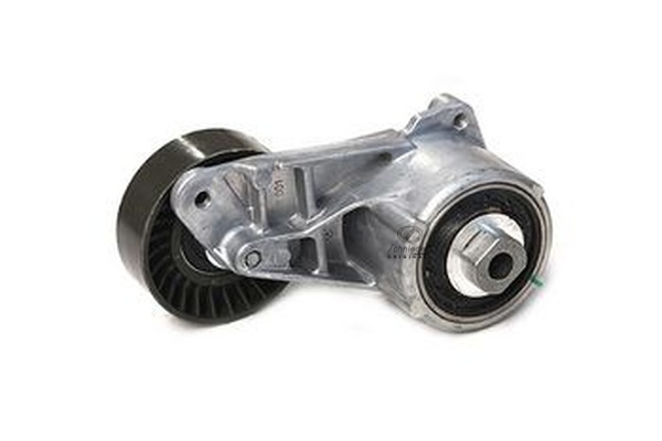 BZS24.00081