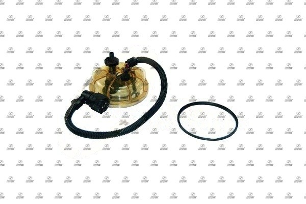 SCT17.00268