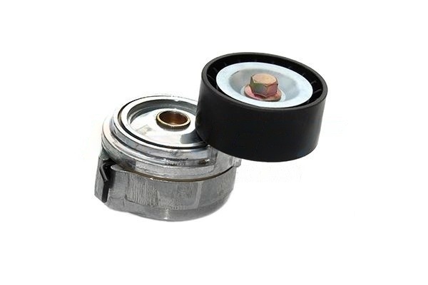 MNT24.00025