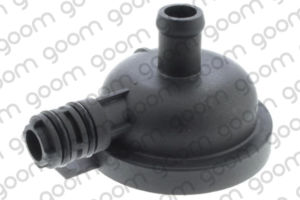 EBV-0009