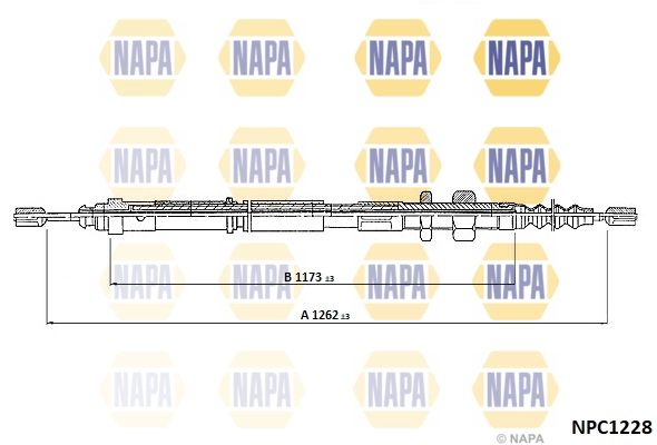 NPC1228