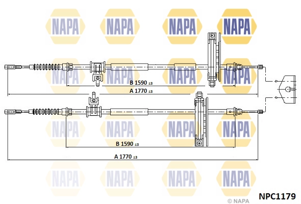 NPC1179