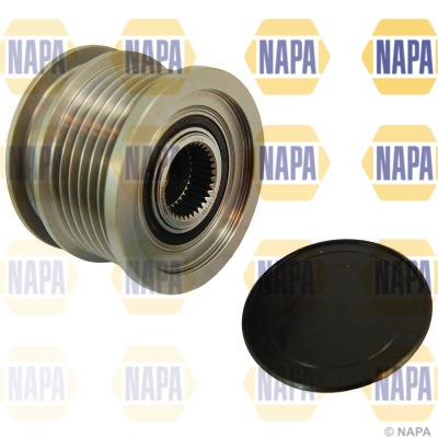 NOP1121