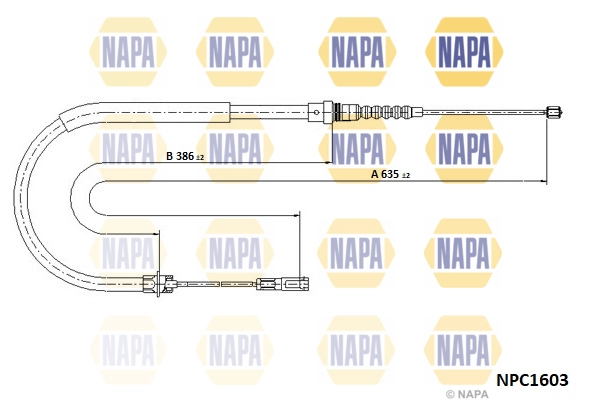 NPC1603