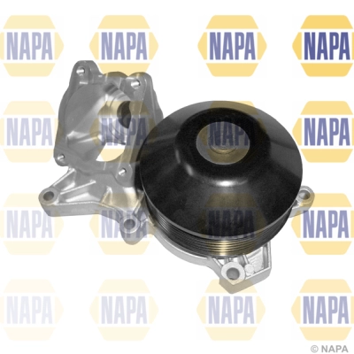 NWP1106