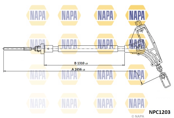 NPC1203