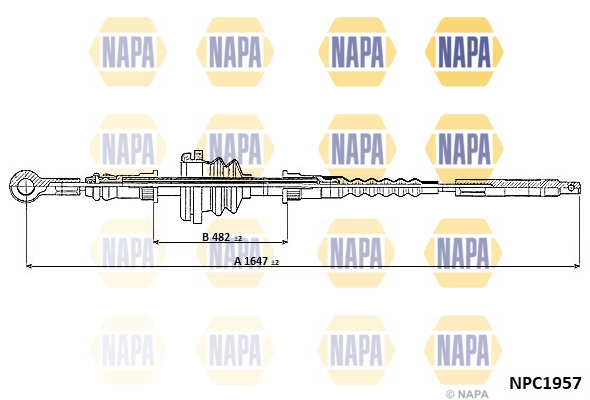NPC1957