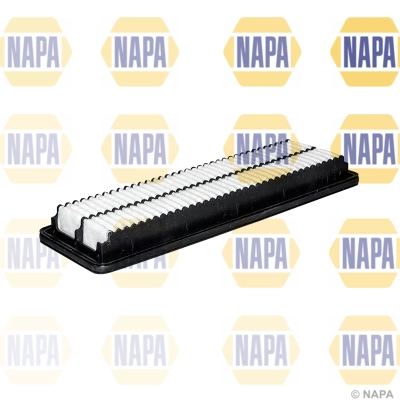 NFA1273