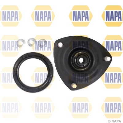 NKM1079