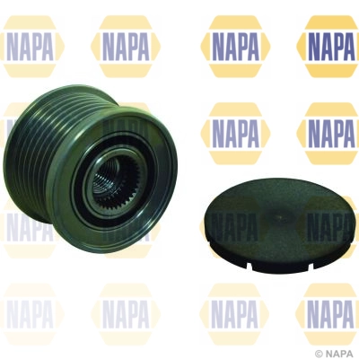 NOP1081