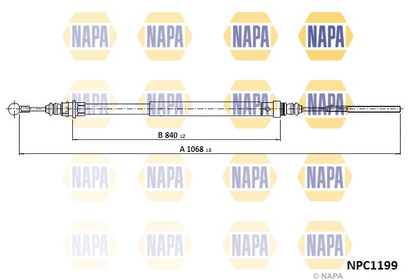 NPC1199