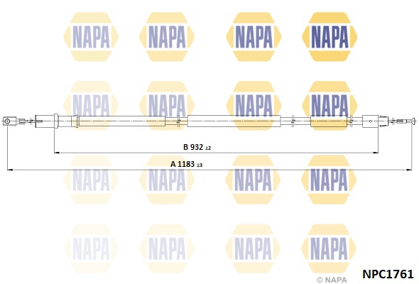 NPC1761