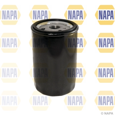 NFO3004