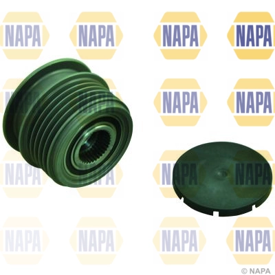 NOP1134