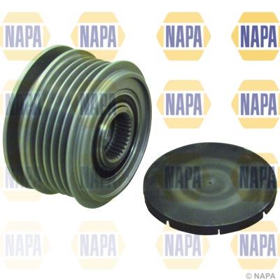 NOP1145