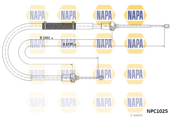 NPC1025