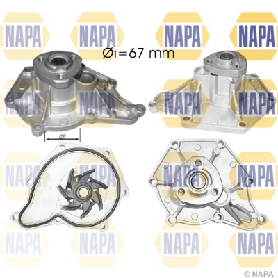 NWP1039