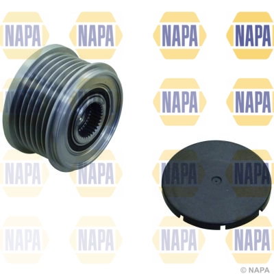 NOP1118