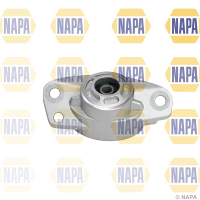 NKM1098