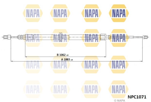 NPC1071