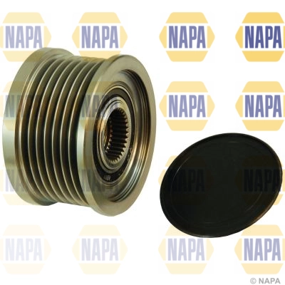 NOP1123