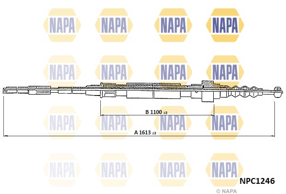 NPC1246