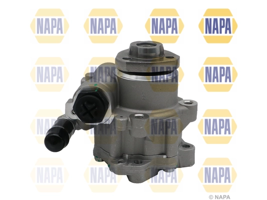 NPS1011