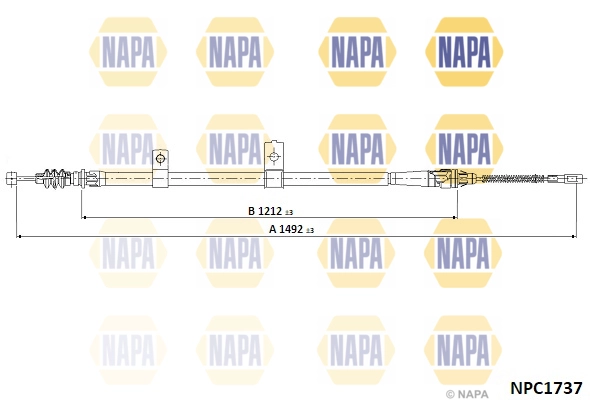 NPC1737