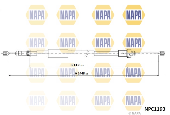 NPC1193