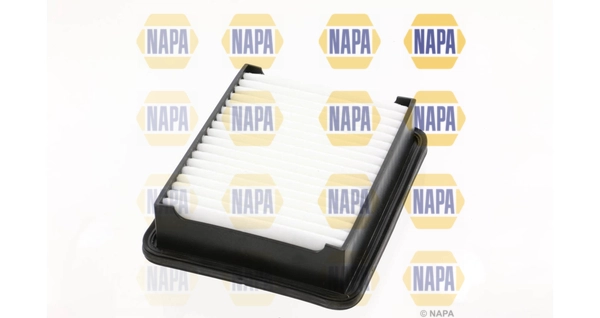 NFA1100
