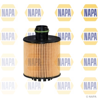 NFO3236