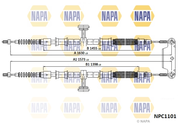 NPC1101