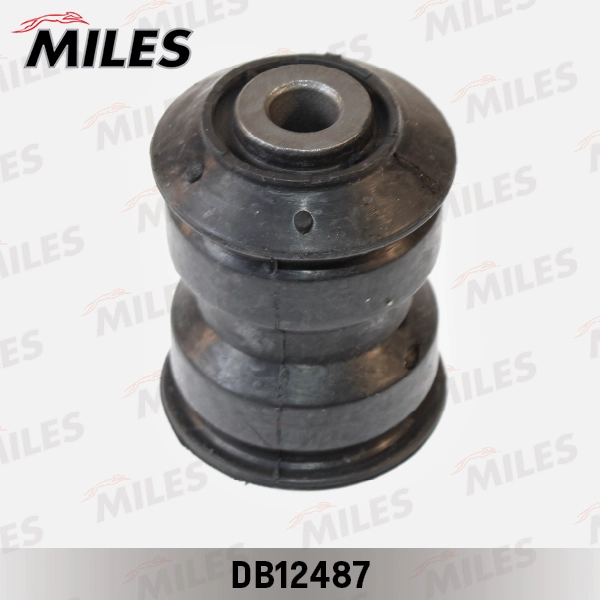 DB12487